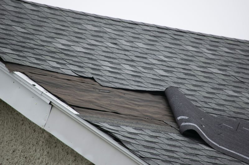 Shingle Replacement Process