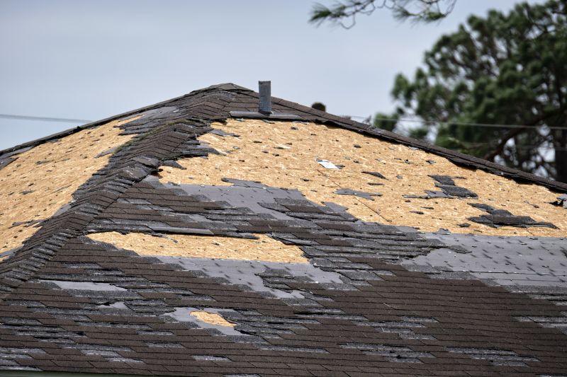 Damaged Shingles Replacement